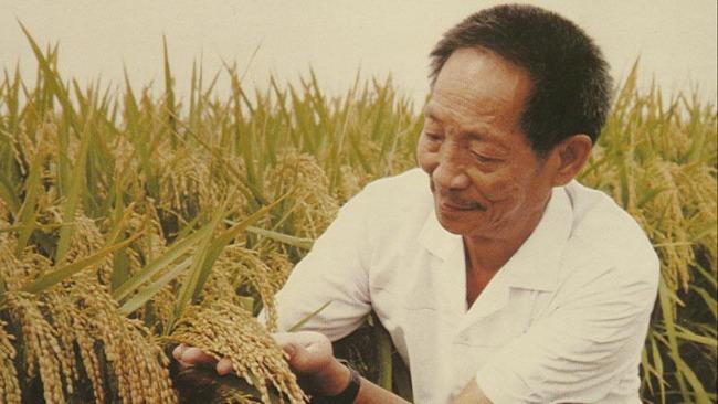 娱乐圈|袁隆平去世后娱乐圈刮起一阵妖风，丢脸丢出国外了