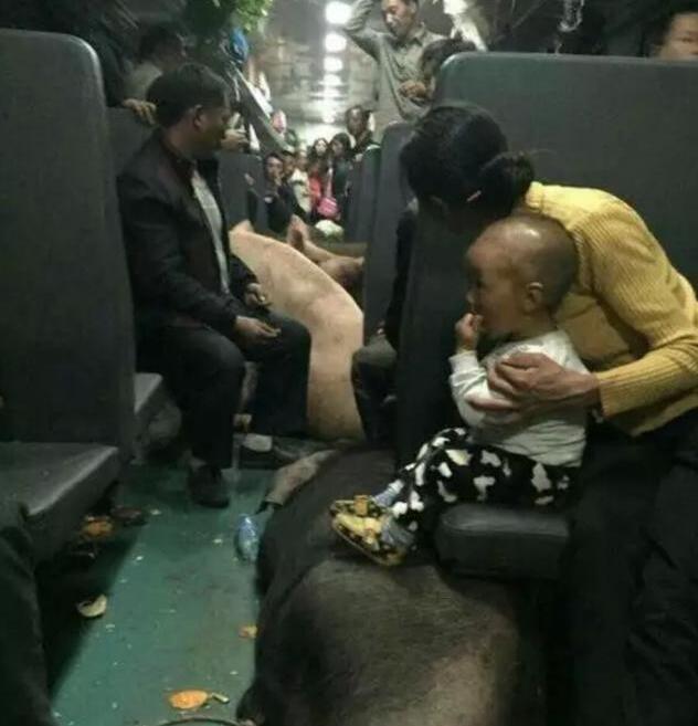 “出差一周回来后，看到亲戚给我装修的婚房！”我瞬间崩溃了啊