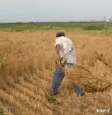 “出差在外，让儿子拍一张媳妇照片，都12点了还不起床”