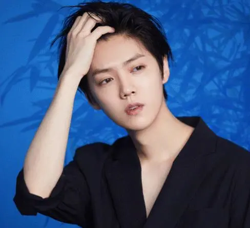 鹿晗|鹿晗回北京老宅，下车姿势独一无二，总算知道为何叫“京城鹿少”