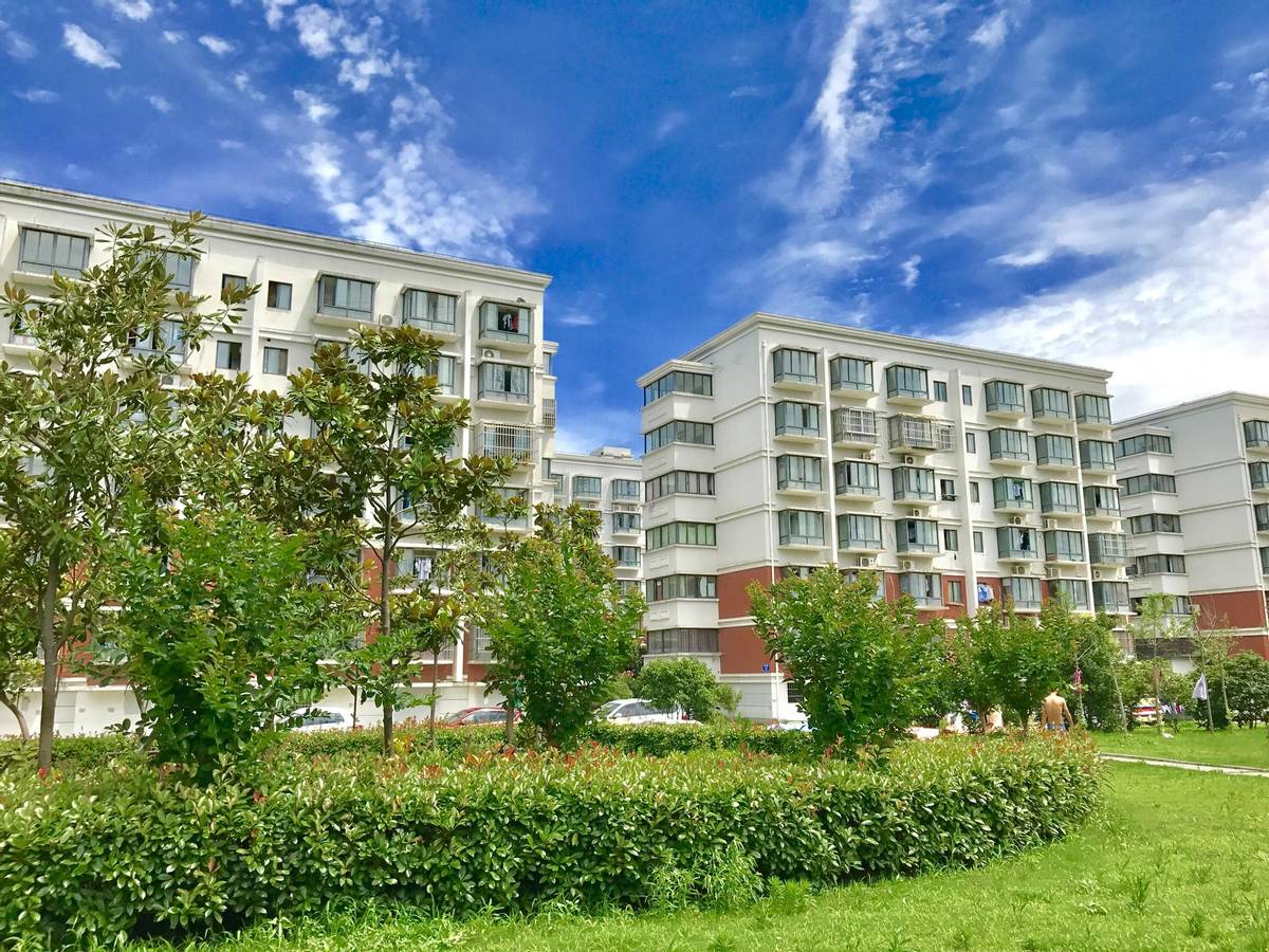 铲哥装修|再便宜的一楼也不要买，买过之后才发现处处是坑，真的好后悔