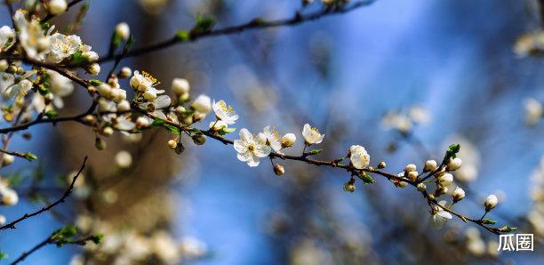 清镇|4天内，痛苦难忍，日子惬意，不舍前情，高人指路，发大财