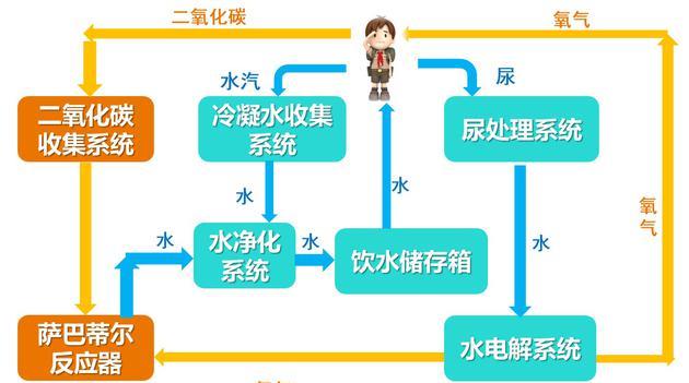 小猫咪的星座故事 神舟十三号黑科技超神，太空种菜不是梦，中国人将开启太空新时代