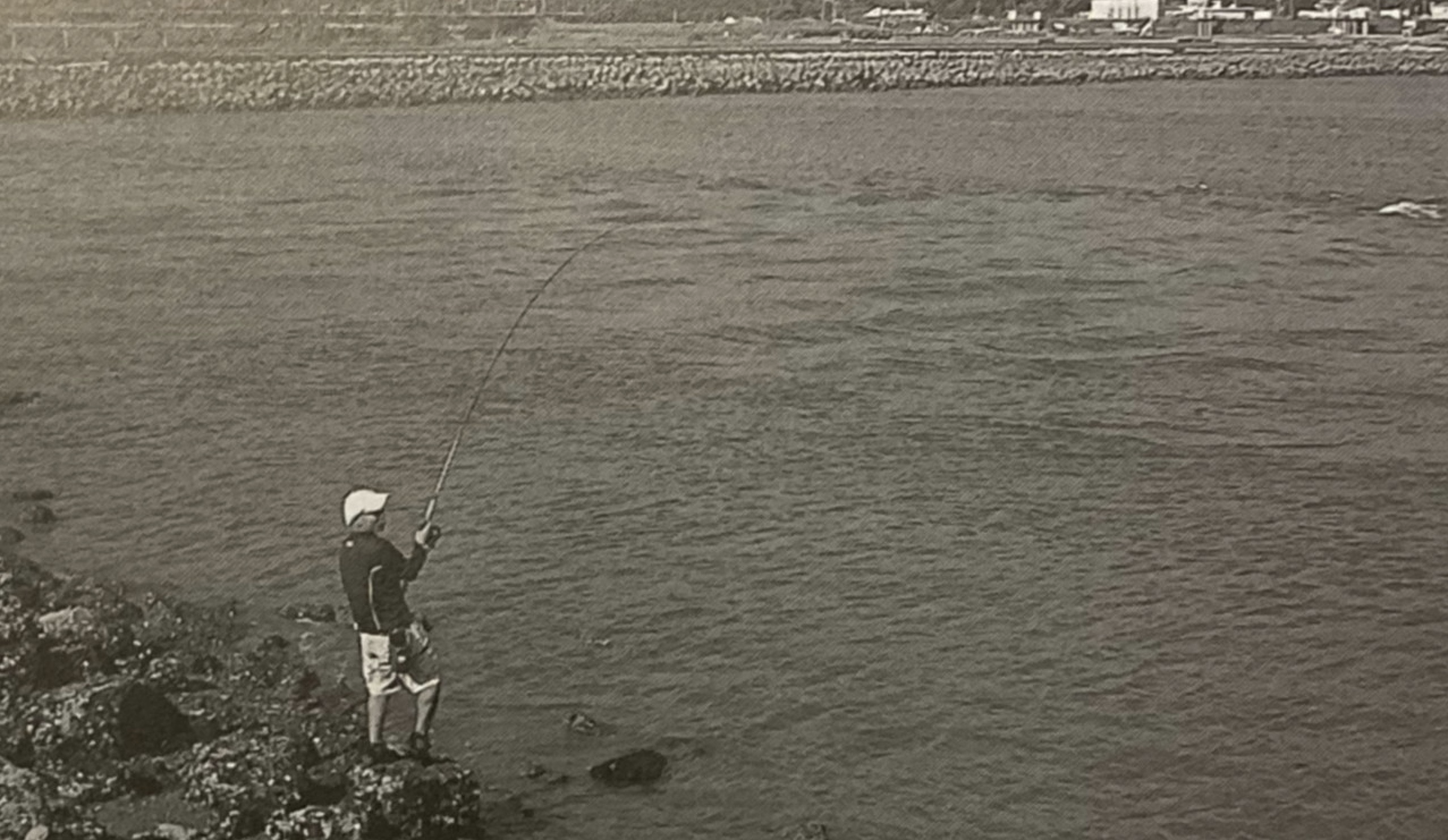 谷雨|[路亚钓] 钓鱼的黄金时间，日本专业钓鱼书籍