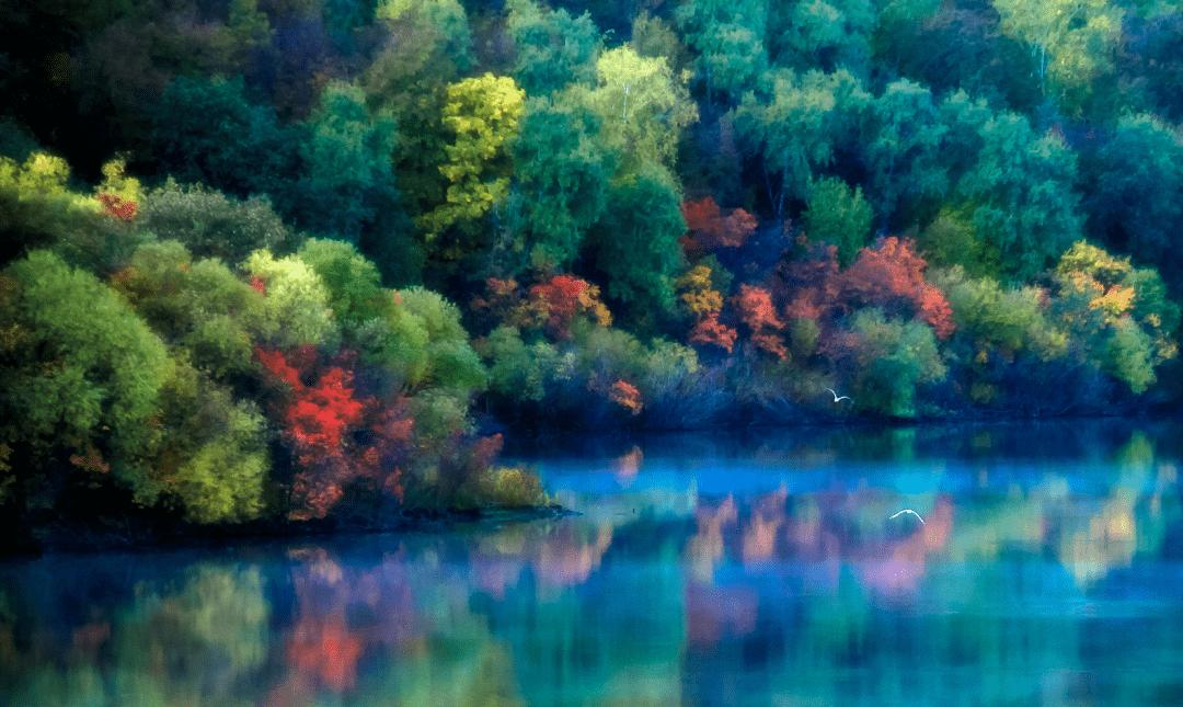 诗词|诗词荟萃——张超诗选