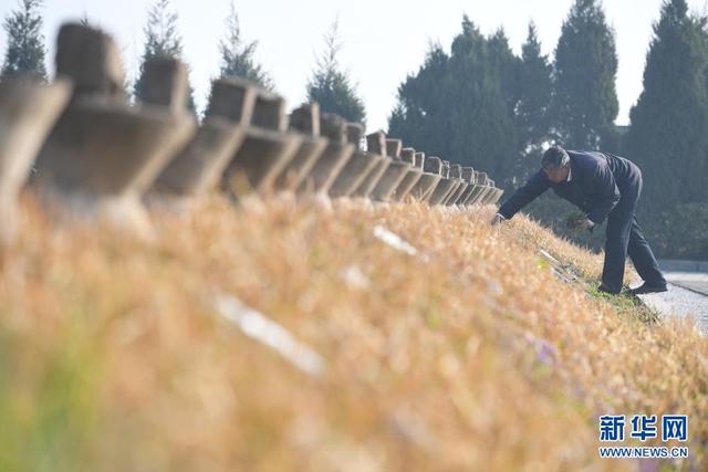 中工网 三代人·七十年·守英灵