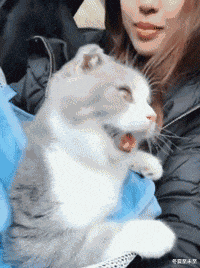 林志玲|这真是林志玲吗？我怎么看着越来越像日本贵妇了？