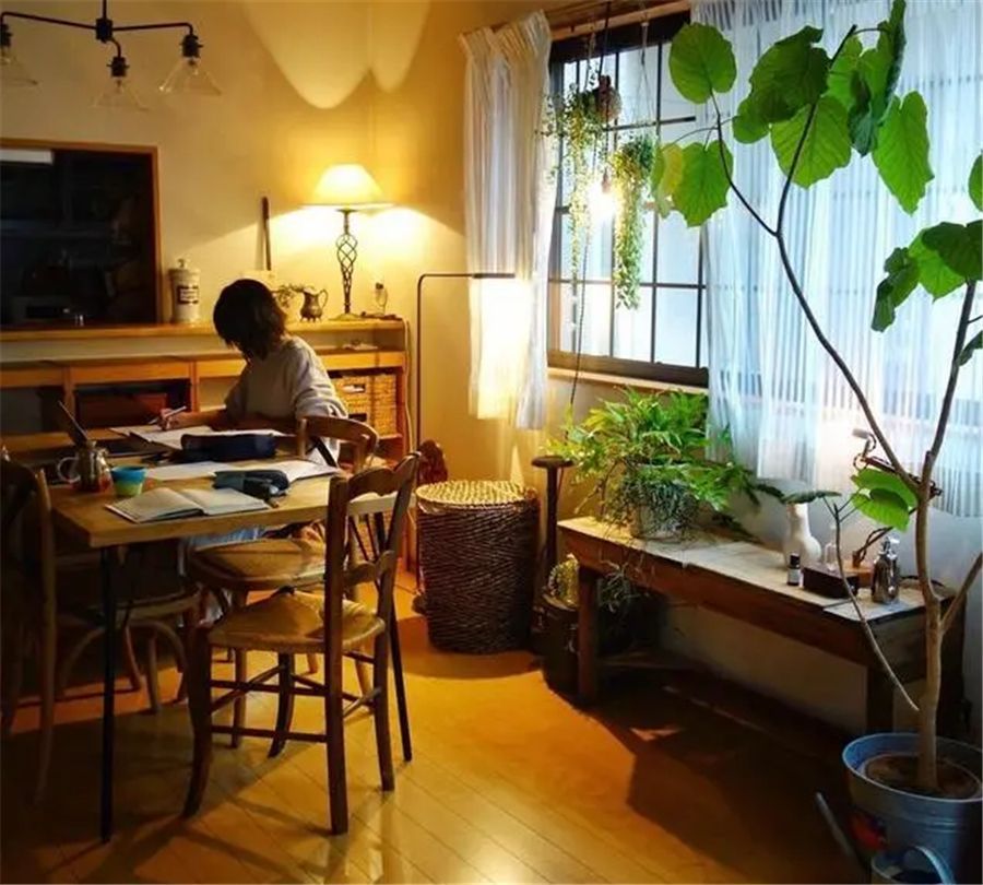 日本53岁阿姨偏爱绿植,用各种花朵植物装点室内,网友:唯美治愈