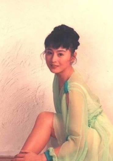桃小菁说说|李赛凤的毁灭史：从“最美警花”到全港笑料，她经历了什么？