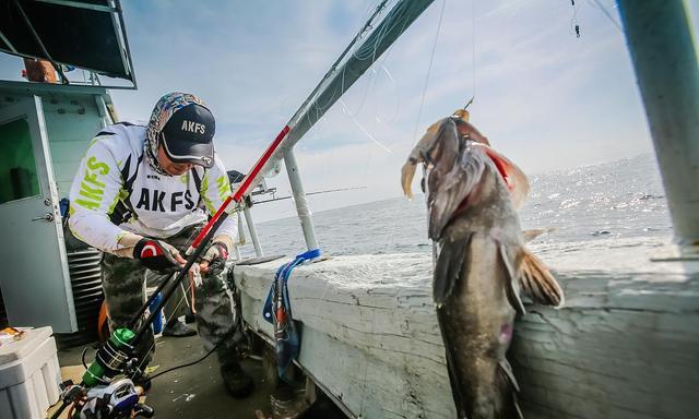 渔民|渔民捕获“神秘大鱼”，价值30万美元，钓鱼人也要留意了