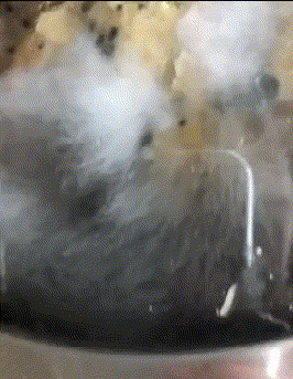 hr|“华为1996年的招聘广告，大家自己感受一下！”哇哈哈哈哈～