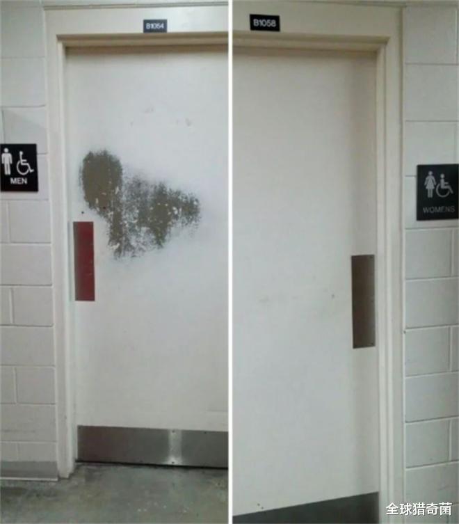 全球猎奇菌 32张照片告诉你，时间的力量有多恐怖