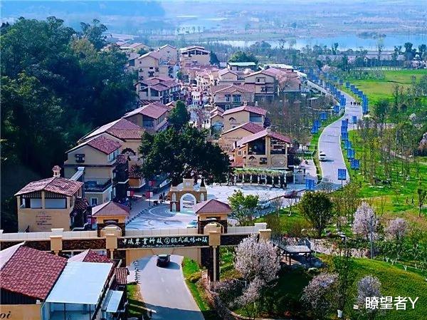 瞭望者Y 事发昨天!刷爆南充的这场聚会到底“聚”了啥?又“会”了啥?