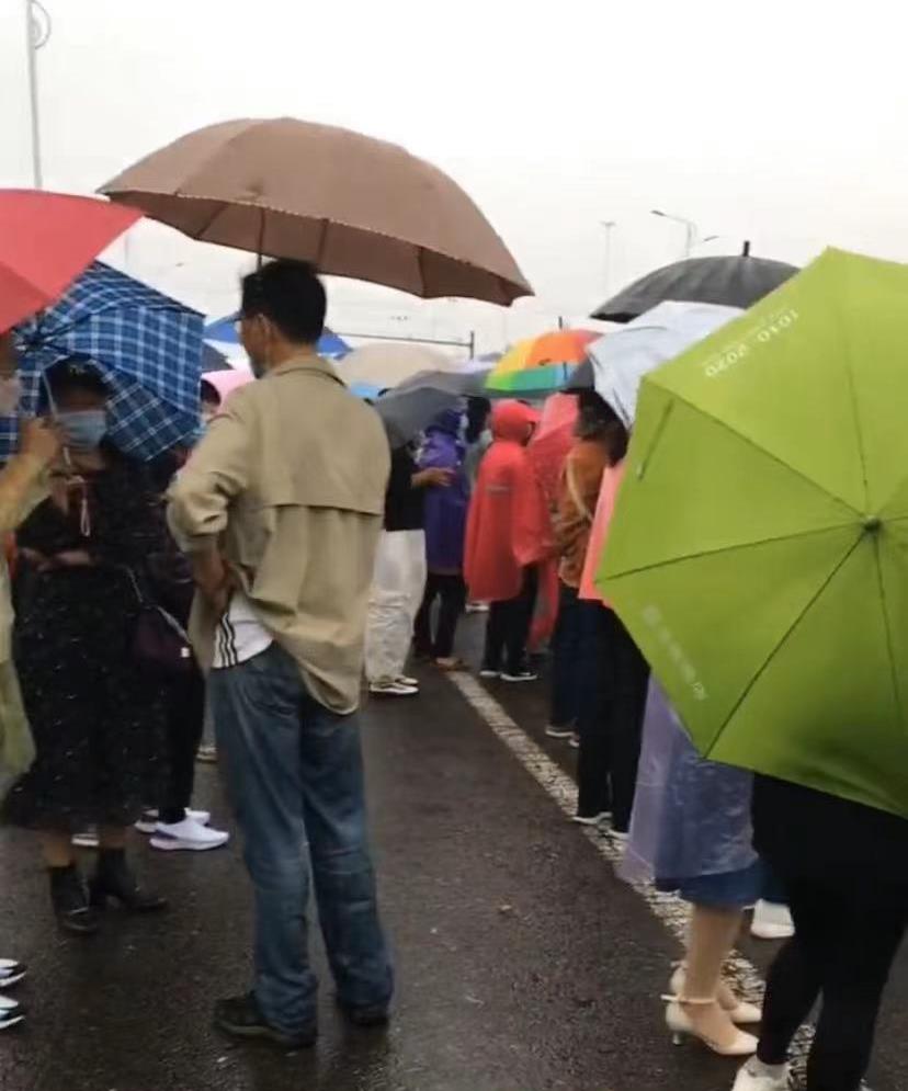 子莘情感屋|二八事件开庭,多位主播冒雨守护许妈,杜妈由小熊陪伴信心十足