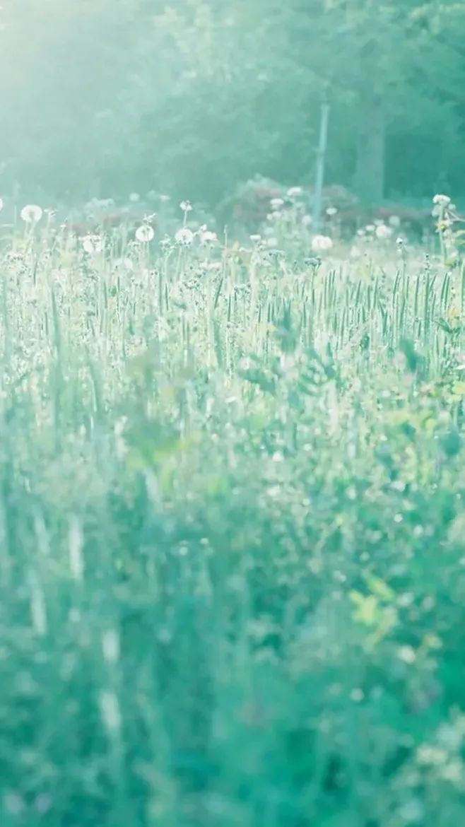 乌前旗文体旅游广电 最适合春游发朋友圈的诗句,每一句都妙不可言