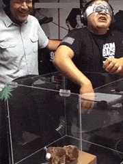 |“头一次在南方接工程，弱弱的问一句这种情况该怎么处理”