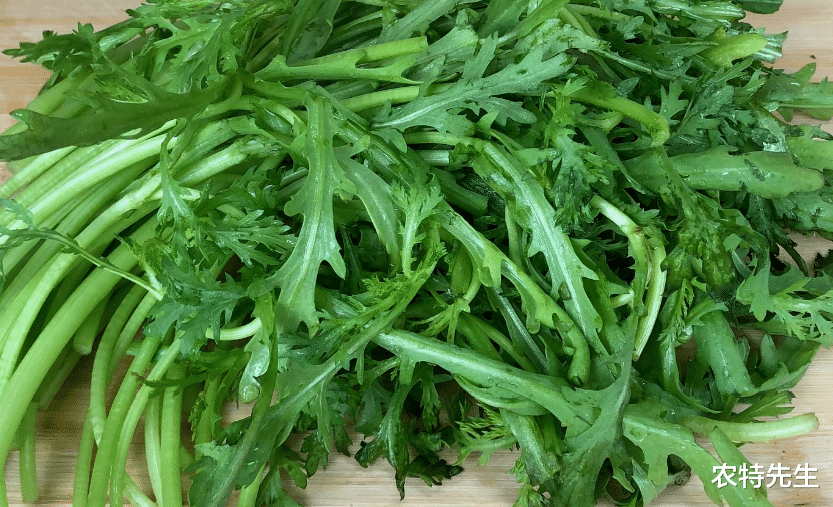 张娜拉|秋天这菜不懂吃太可惜，女人吃了减肥，对男人戒烟大有好处