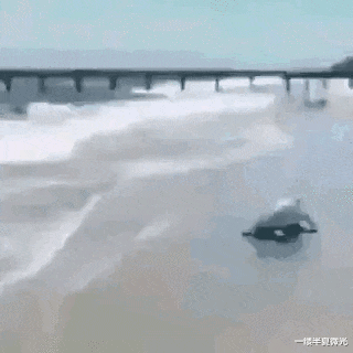 比特币 朋友为了娶空姐，哭着卖掉50枚比特币，现在睡觉都会笑醒！哈哈哈