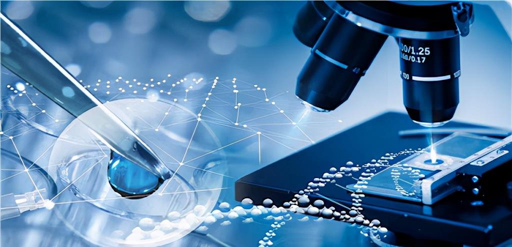 爱因斯坦 科学的终点是神学？爱因斯坦晚年认为，世上一切都是安排好的？