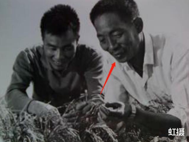 苏联|把粮食安全交给西方？荒谬！苏联用黄金石油换粮，却被资本家搞惨