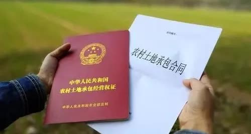 立立在京康 我家的地被确权给了邻居，咋办？