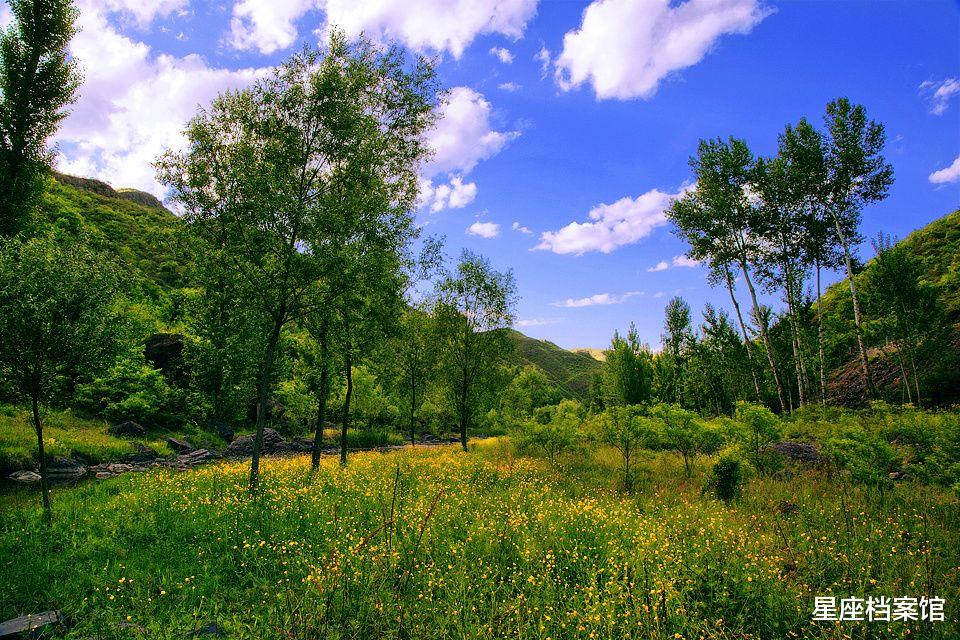 星座档案馆|机灵有谋略，总能爆棚的星座，善于观察，头脑过人