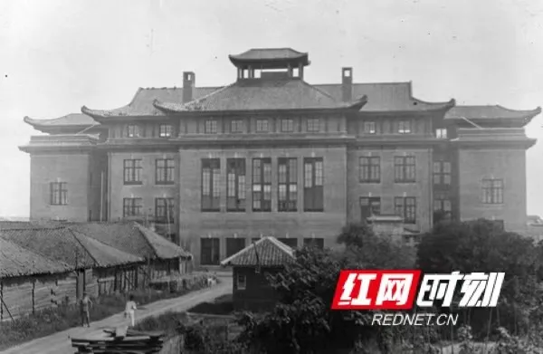 芒果都市 今天!向他们致敬!