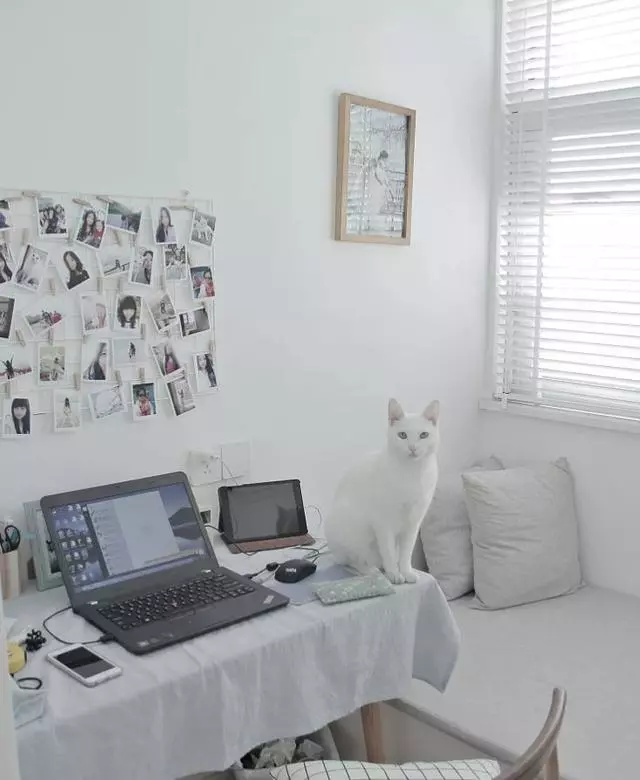 全屋大白墙,造型、吊顶也很少,一进屋却把我迷住