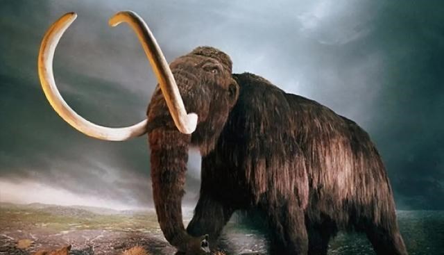 奶爸育儿宝库|物种灭绝有何征兆？科学家警告：留意观察，各种迹象不是危言耸听