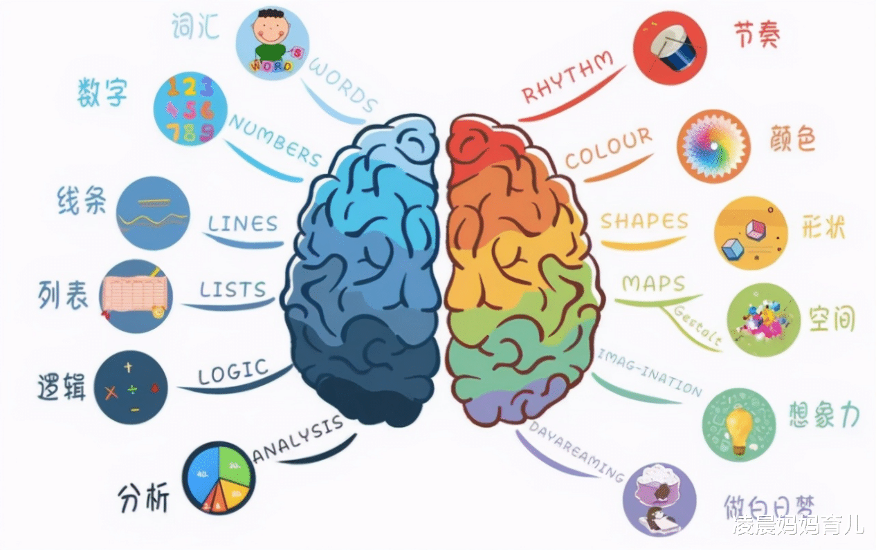 凌晨妈妈育儿|新生儿游泳不仅能增强体质,还能促进大脑发育,游泳“四个注意”