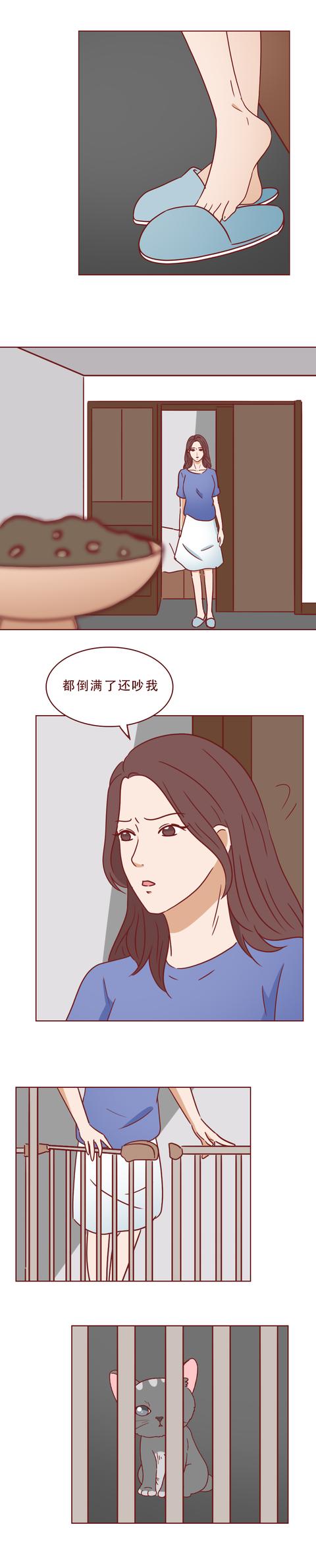 女孩|一只捡来的猫，给了抑郁症女孩第2次生命，有时兽性比人性强