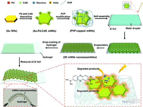 纳米 海草启发水凝胶集成的纳米六边形独立式二维纳米组件的软光催化片