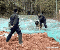 小叶娱记 “医生说消肿才给拔，半夜起来我就给拔了”评论区炸锅了！