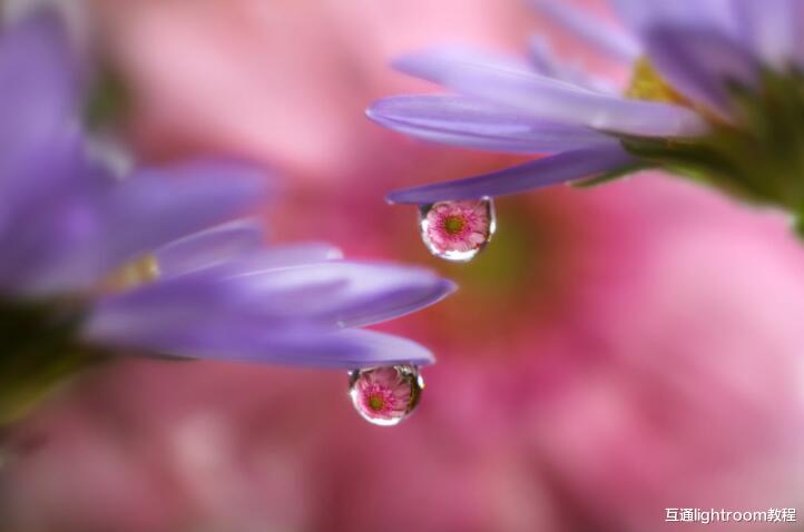 镜头|7个室内摄影技巧，让你拍出创意的室内照片