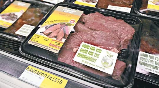 袋鼠 别秀了，袋鼠才是动物界的肌霸