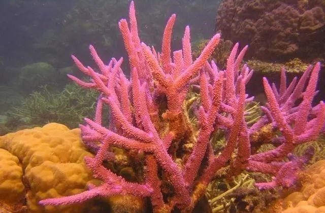  地球上你可能不知道的21个“冷知识”，看完你或许会怀疑人生