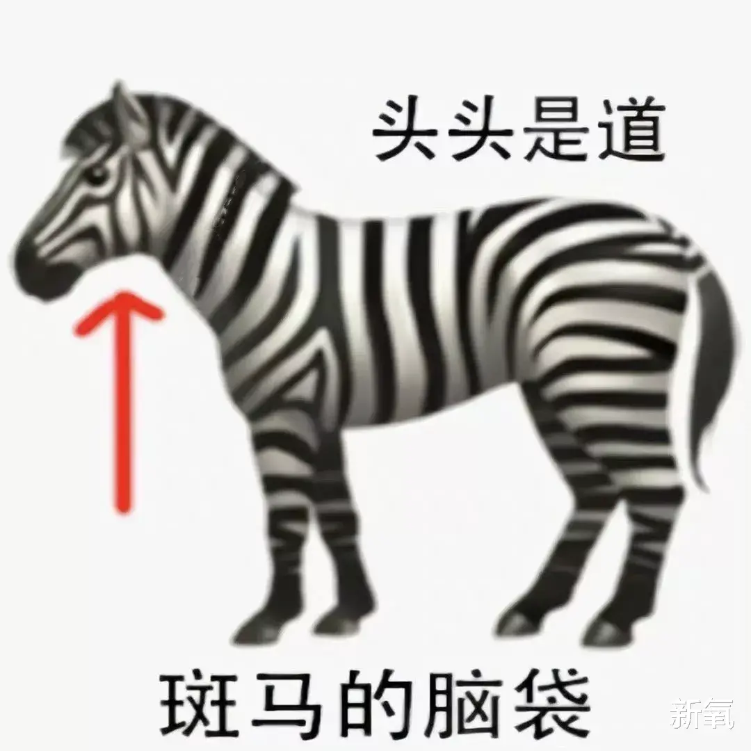 古力娜扎 娜扎初中旧照曝光,和现在的脸一比…