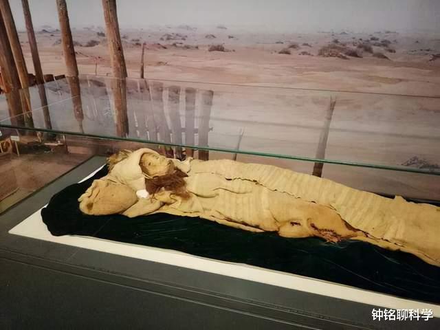罗布泊千年古尸被破解!10000年没与外界通婚,产生生殖隔离吗?