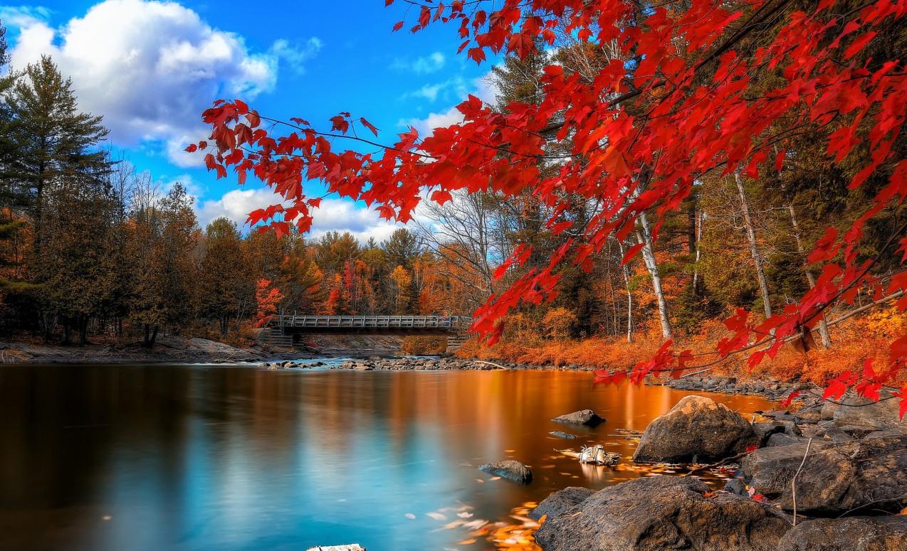 谭松韵|“傻人有傻福”的星座，纯洁善良没心机，却能够成为人生赢家