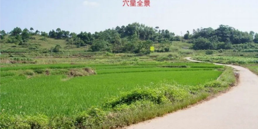 玄风八字运势 明师案例：奇特的作法，后人贵至师级