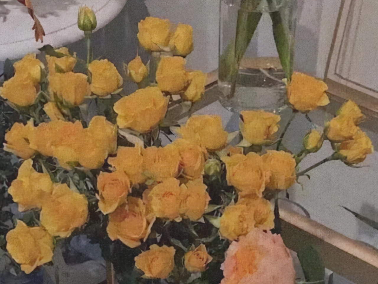 星座师安达 有傲骨、很难讨好他人的星座，不活在世俗的眼光下，追求本心