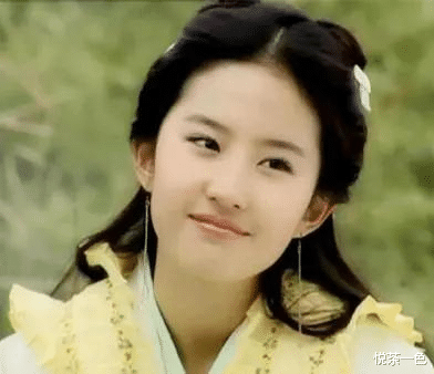 梦华录|梦华录刘亦菲为什么要接？