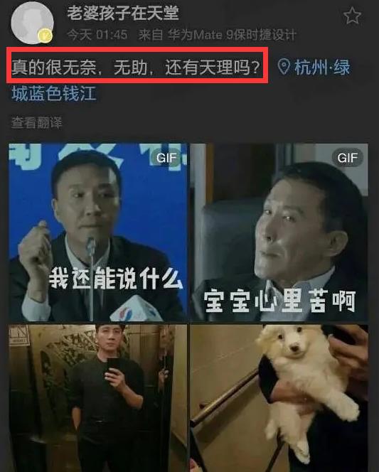 林生斌|林生斌的偶像梦和荒野里181米的那口井