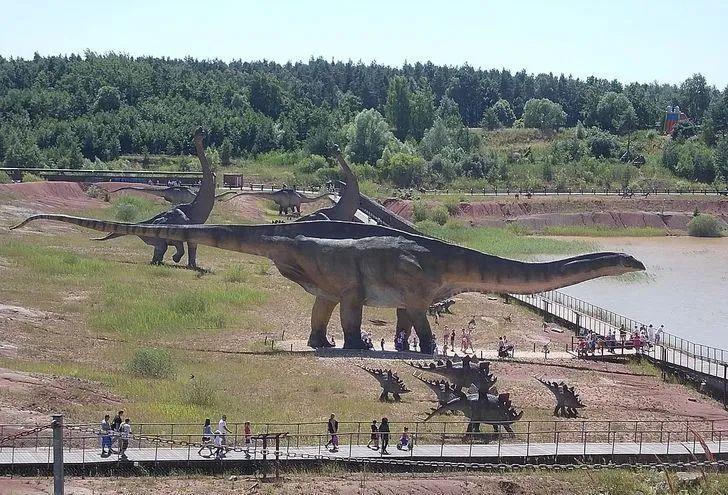  15个尺寸巨大的真实事物，最后那把小提琴能演奏吗？