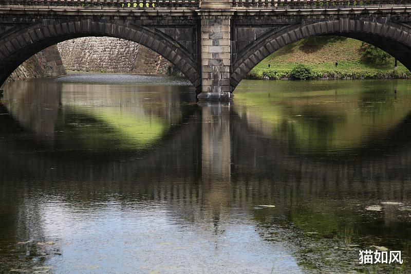  我们为什么会进化出眼睛？因为也许物质与意识本是一体！