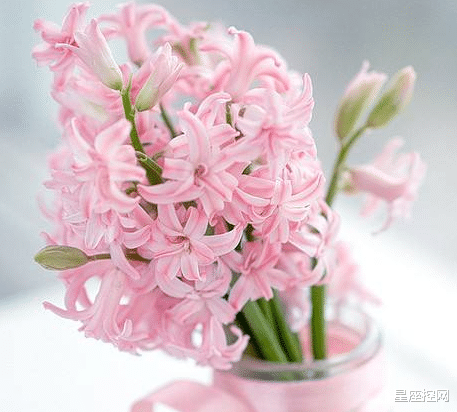 |啥日子出生的人，靠自己去努力创业，人生步入巅峰，诸事大吉