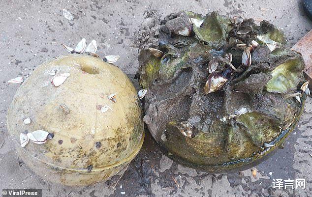 譯言網 泰國漁民撿到220萬元稀有珍珠擬賣中國富商，舉辦冰毒派對被逮捕