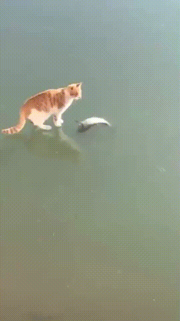 福州 “弟弟的女同学才上初一，就这么早熟了？”