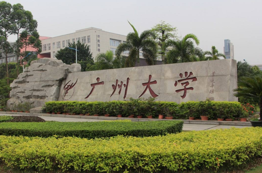姐姐|孙卓姐姐学成归国，“第一学历”备受关注，网友好奇留学费用