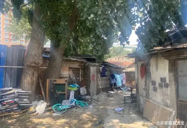 济宁|适时启动西小营宅基地腾退，加快推进集租房回迁房教育配套项目